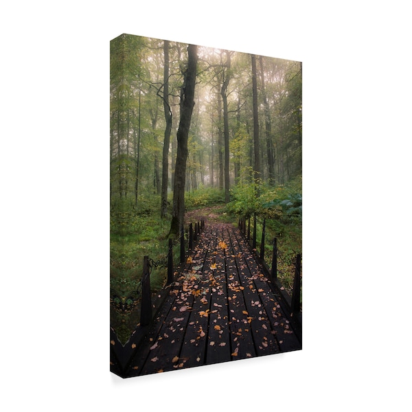 Christian Lindsten 'Misty Morning Bridge' Canvas Art,16x24